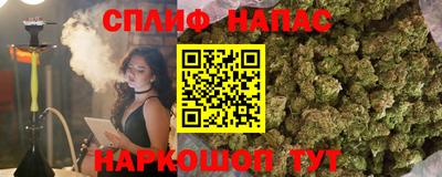 индика Татарск
