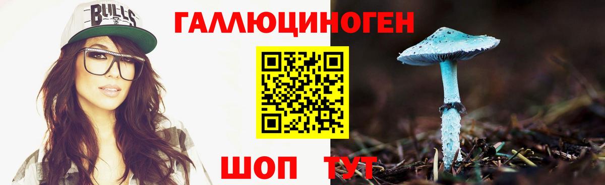 купить закладку  Вход с VPN  Павлово  Псилоцибиновые грибы мицелий 